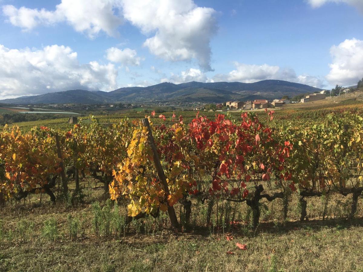 Chambre Spacieuse Le Clos Des Vignes Chavanay ภายนอก รูปภาพ