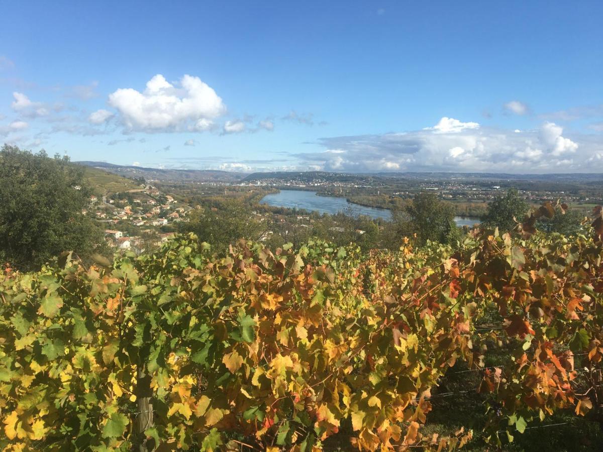 Chambre Spacieuse Le Clos Des Vignes Chavanay ภายนอก รูปภาพ
