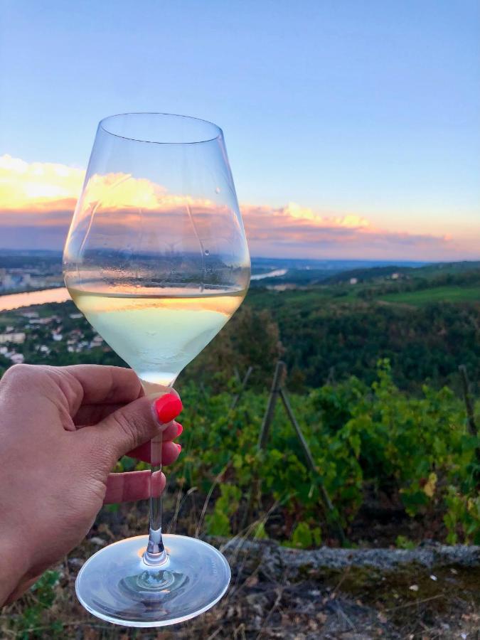 Chambre Spacieuse Le Clos Des Vignes Chavanay ภายนอก รูปภาพ
